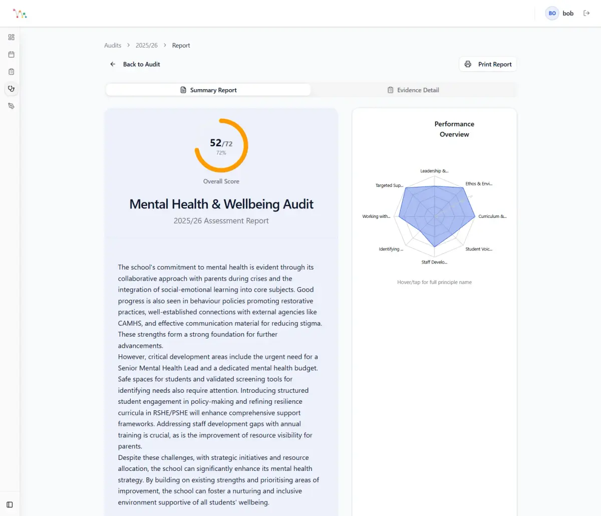 BounceTogether wellbeing audit review report